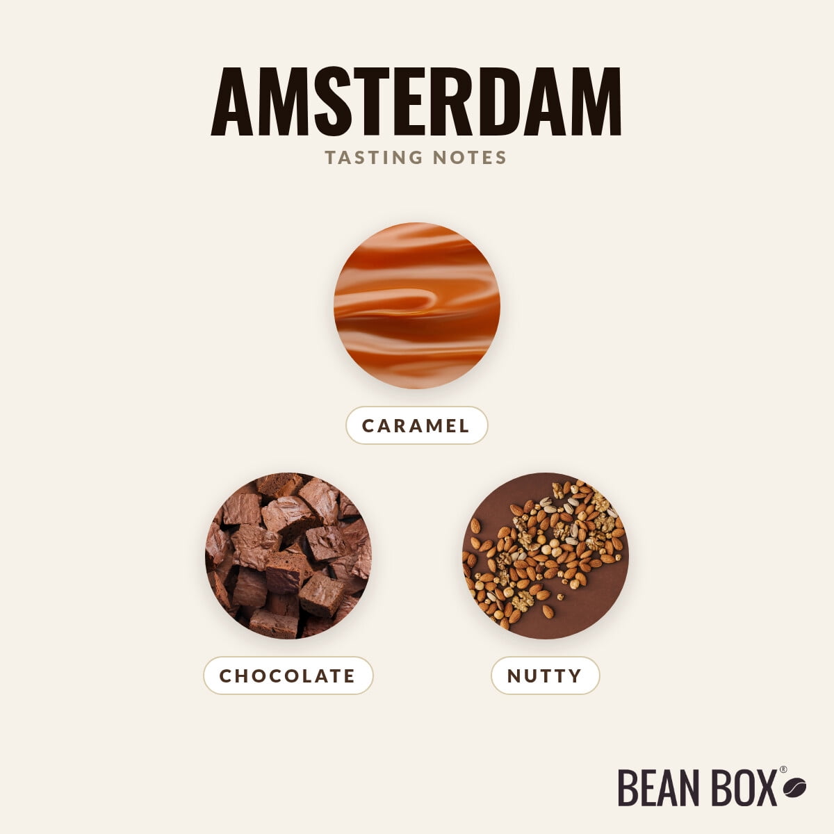 Amsterdam - Roasted by Joe Coffee Company - Whole Bean Coffee - 2lb Bag