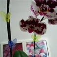 thumbnail image 3 of yingyy 30pcs Orchid Clips Plant Grafting Clips Plant Flower Stem Hooks 6 Colors Clips, 3 of 6