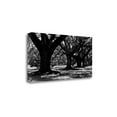 thumbnail image 1 of Tangletown Fine Art 'Majestic Oaks I' Graphic Art Print on Wrapped Canvas, 1 of 2
