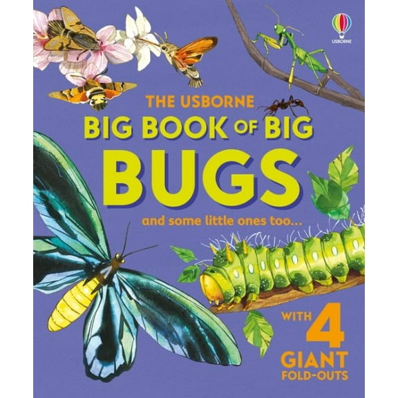 Pre-Owned Big Books Big Book of Big Bugs, (Hardcover)
