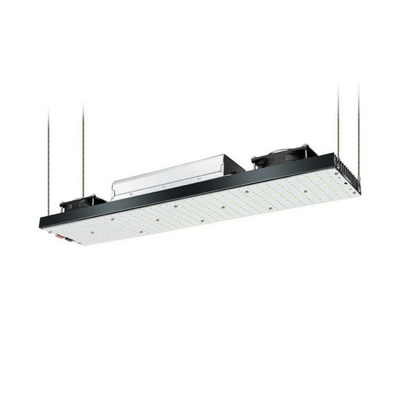LM301h LED Grow Full Spectrum LED Grow Lights 240W 480W 720W Grow Light For Indoor Vegetable Flower Seedling ,Easy to Use
