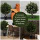 thumbnail image 5 of Árboles topiarios artificiales de cedro para exteriores con estaca | Arbustos artificiales de 65 cm para decoración de jardín, patio, porche y entrada, 5 of 6