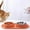 Orange, variant on Slow Feeder Dog Bowl Stainless Steel Double Dish 2 in 1 Pet Food Water Bowl Design Leak Proof Outer Ring Durable Pet Supplies for Cats Dogs