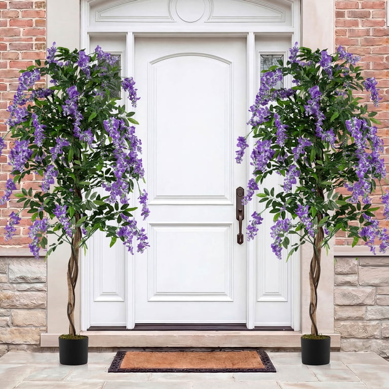 Costway 6 FT Artificial Wisteria Tree Set of 1 with Natural Trunks Purple  Lifelike Flowers for Porch - Walmart.com