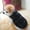 Black, variant on AVAIL Pet Dogs Thickened Vest Coat Small Medium Dogs Warm Costume with Traction Ring Autumn Winter