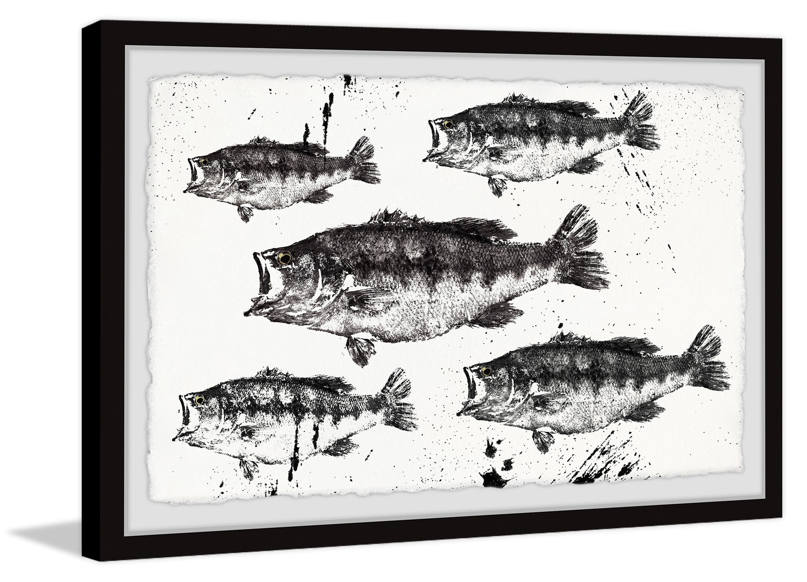 Marmont Hill Printed Fish Framed Art Prints