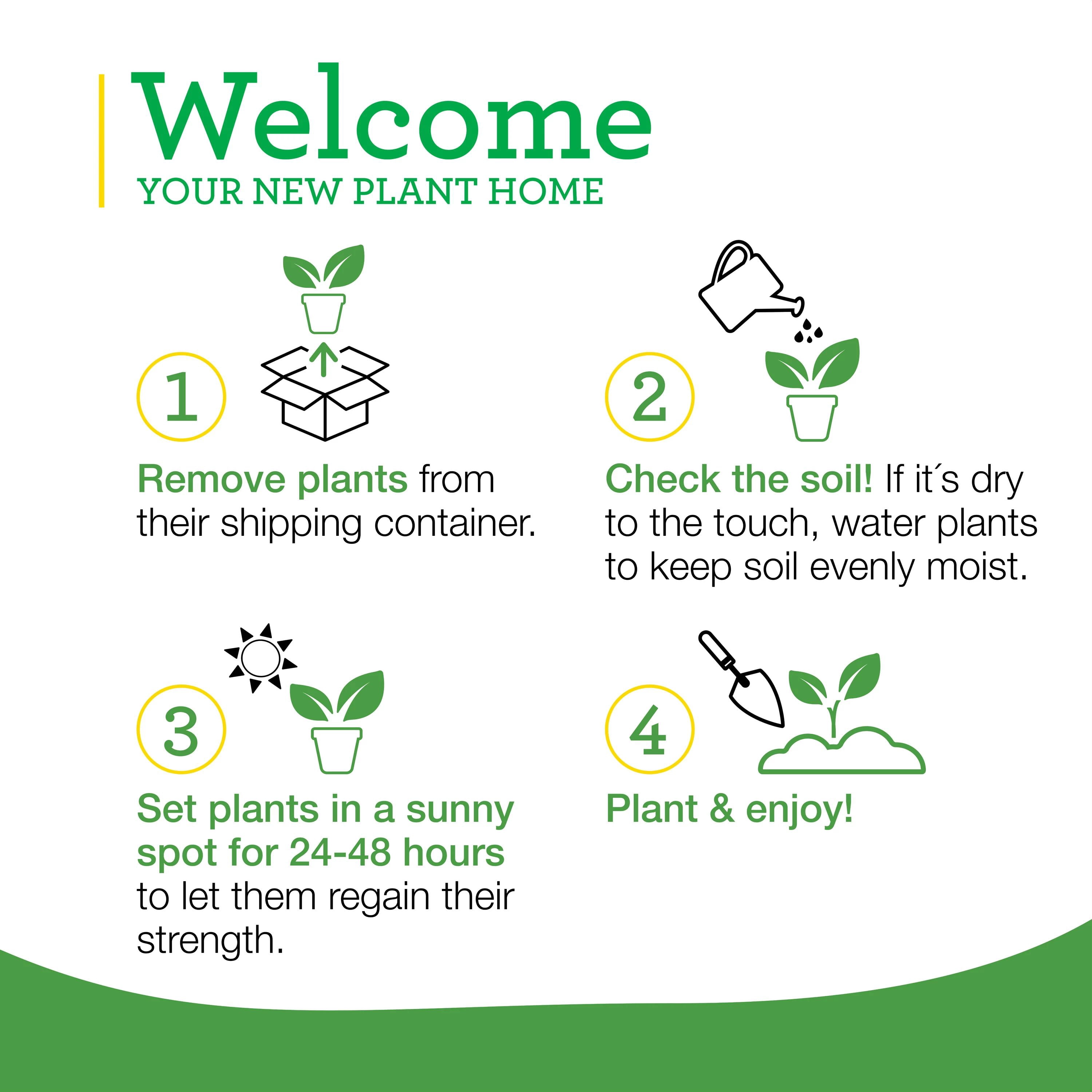 Bonnie Plants Stevia, Live Plant, 2-Pack, 19.3 oz.