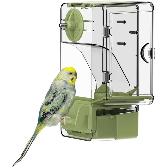 Automatic Bird Feeder, Bird Cage Feeder with Perch Multi-Functional Holder for Fruits Vegetables for Parakeet Canary Cockatiel Finch (Green)