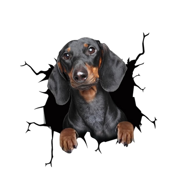 Wosthever Adhesivo de pared 3D para perros, pegatinas para inodoro, vista de agujero, perros vivos, baño para decoración del hogar, calcomanías de Decoración del hogar dos