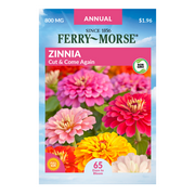 Ferry-Morse 60MG Zinnia Cut & Come Again Annual Flower Seeds (1 Pack)- Seed Gardening, Full Sunlight