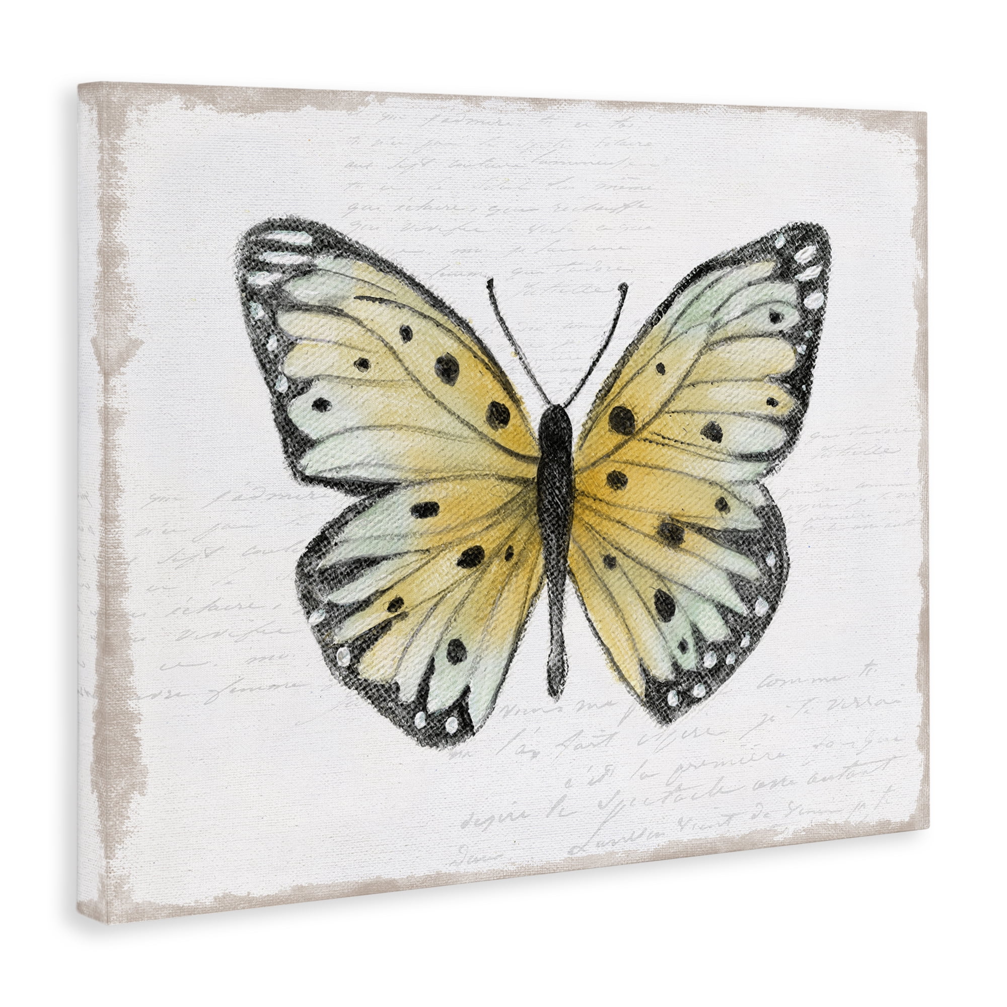 Stupell Industries Beautiful Butterfly on White Animals Painting Wrapped Canvas Art Print Wall Art, 48 x 36