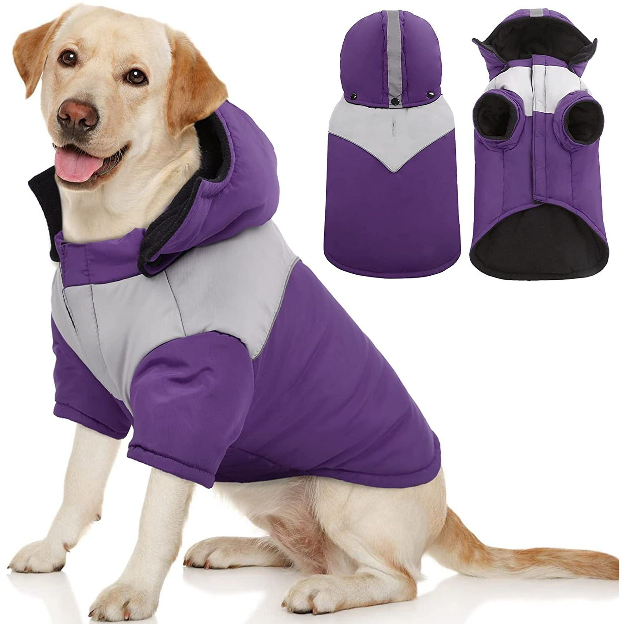 Do Dogs Have A Winter Coat