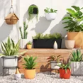 thumbnail image 2 of 2pc Self-Watering Wall Half-Circle Indoor Outdoor Planter Pots 8"x4.75", 2 of 5
