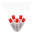 thumbnail image 1 of Vickerman X6W3303CSA Guirlande Lumineuse LED Fil Blanc 9 Pieds avec Lumières Rouges, 1 of 1