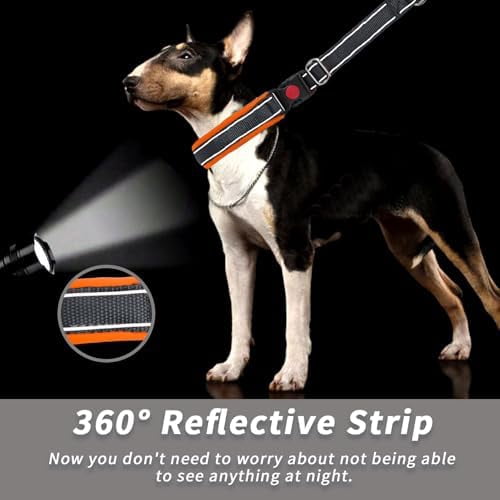 Martingale No Pull Dog Collar for Large Medium Small Dogs, Heavy Duty Nylon Reflective Adjustable Anti Pull Slip Collar with Buckle for Training Walking M Black Orange