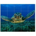 thumbnail image 1 of Turtle Photo Ceramic Tile Mural Kitchen Backsplash Bathroom Shower, 406072-S54, 1 of 3