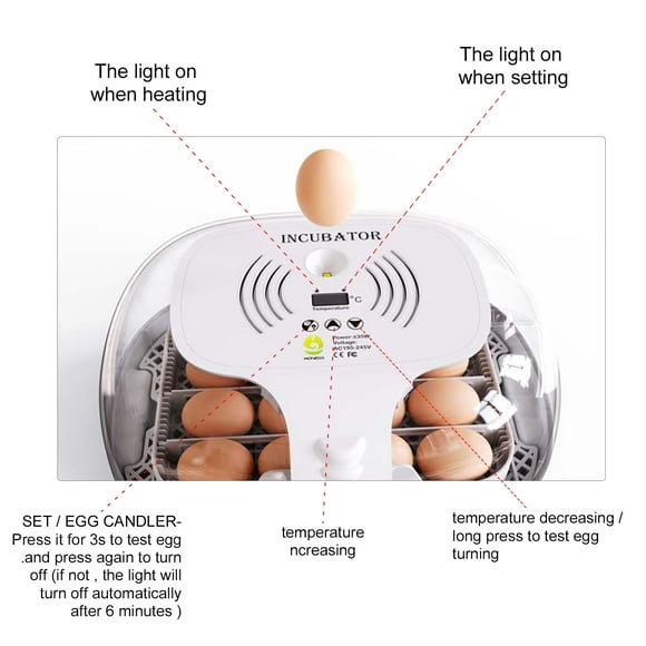 Incubadore de Huevos Para Eclosiones de Huevos Auticas Girando la Bandeja de Huevo Cubierta Transparente Con Bandas de Huevos Dirigidos para Criadores de Aves