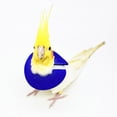 thumbnail image 3 of CBFFDC Bird Restraint Device Adjustable Parrot Recovery Collar Anti Biting Injury Protection Fastener Fixing Bird Collar Pet Bird Accessory, 3 of 6