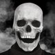 thumbnail image 5 of Máscaras Hombres Aterrador,Espeluznante Máscara De Calavera De Cabeza Completa Con Mandíbula Móvil, Adul, 5 of 5
