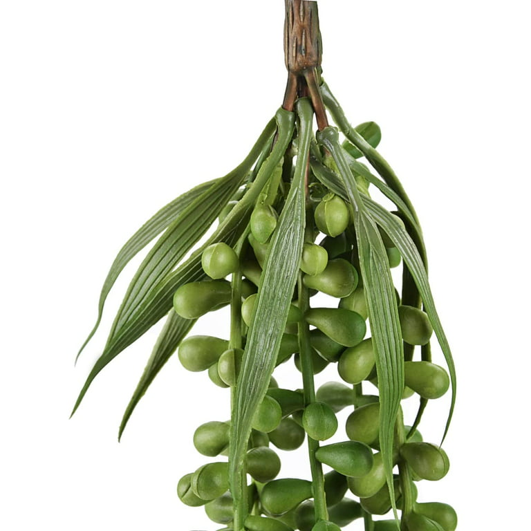  Kisflower 2Pcs Hanging Succulents Plants Artificial - Fake  String of Pearls Hanging Plants with A Lanyard - Artificial Succulent Faux  Plants for Room Office Home Wall Decor (Green, 2) : Everything Else
