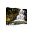 thumbnail image 2 of Trademark Fine Art 'The Sound Of Falling Water' Canvas Art by Brenda Petrella Photography Llc, 2 of 3