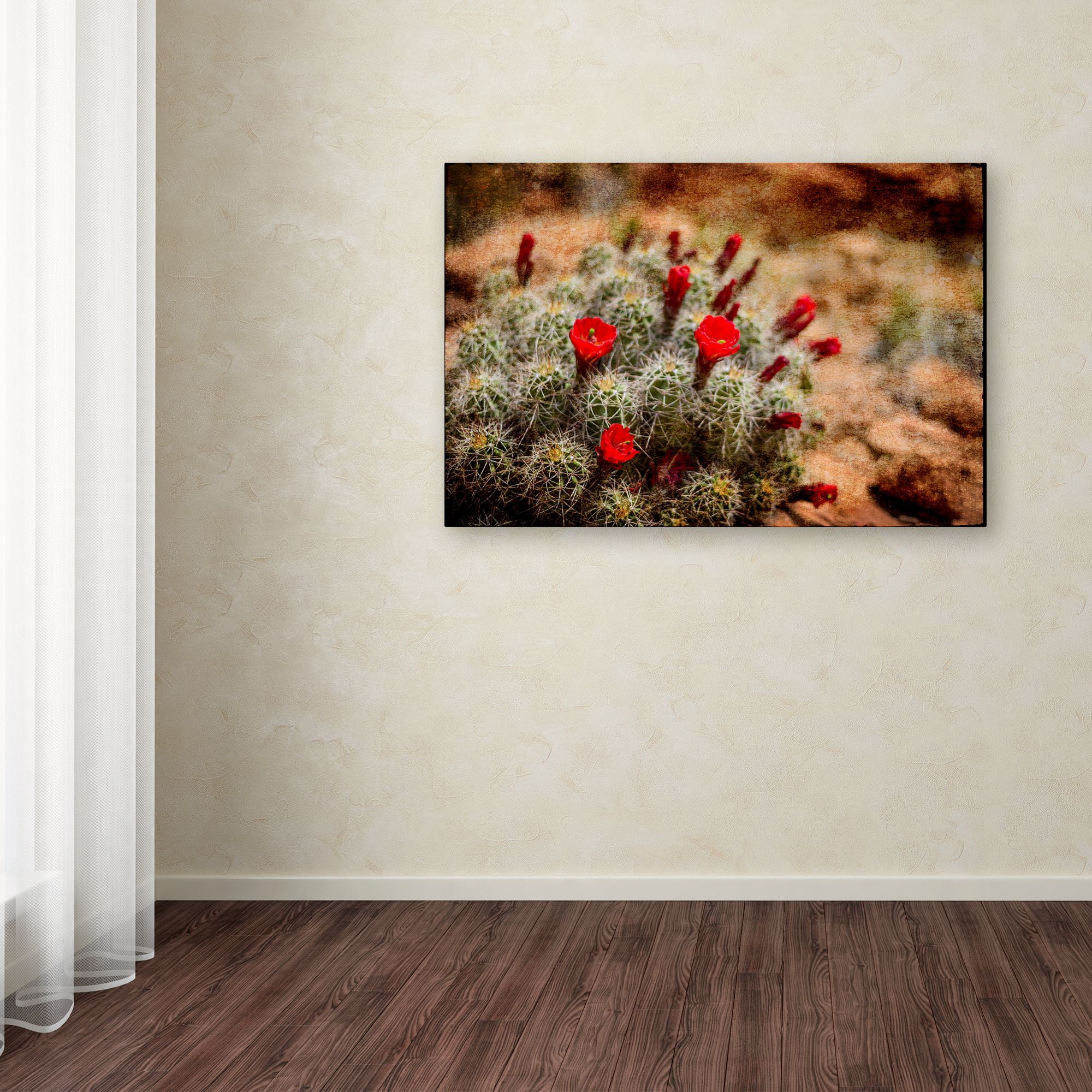 Trademark Fine Art 'Desert Flower 3' Canvas Art by LightBoxJournal