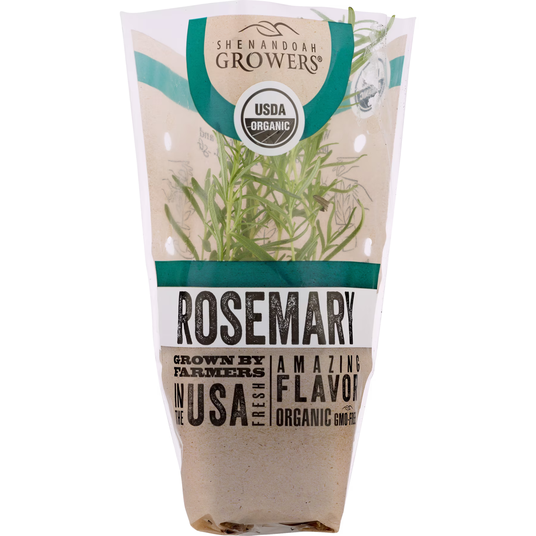 Fresh Potted Rosemary, 1 Each