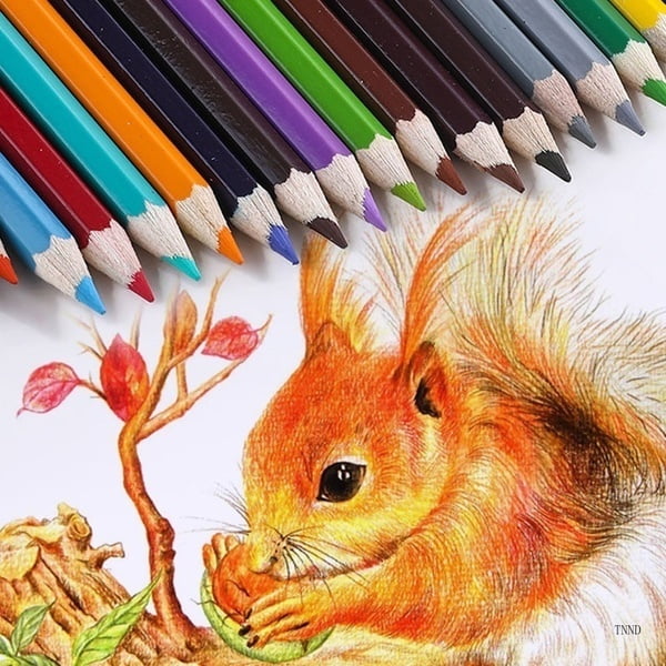soft art pencils