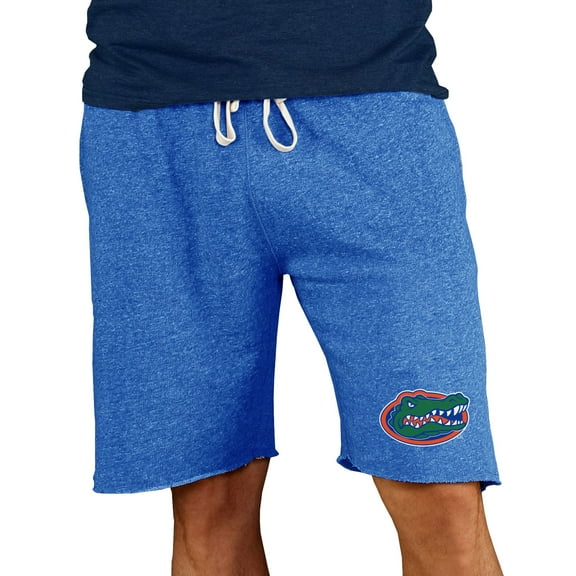 Men's Concepts Sport Royal Florida Gators Mainstream Terry Shorts