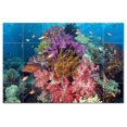 thumbnail image 1 of Coral Fish Underwater Ceramic Tile Mural Kitchen Backsplash Bathroom Shower, 402, 1 of 3