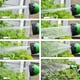 thumbnail image 2 of Boquilla de rociador de pistola de manguera de jardín ajustable portátil Boquilla de pistola de agua / Verde JShteea  Libre de BPA, 2 of 9