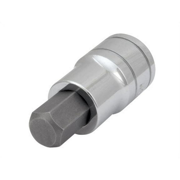 Wilmar W32881 1/2" Drive Hex Bit Socket, 1/2"