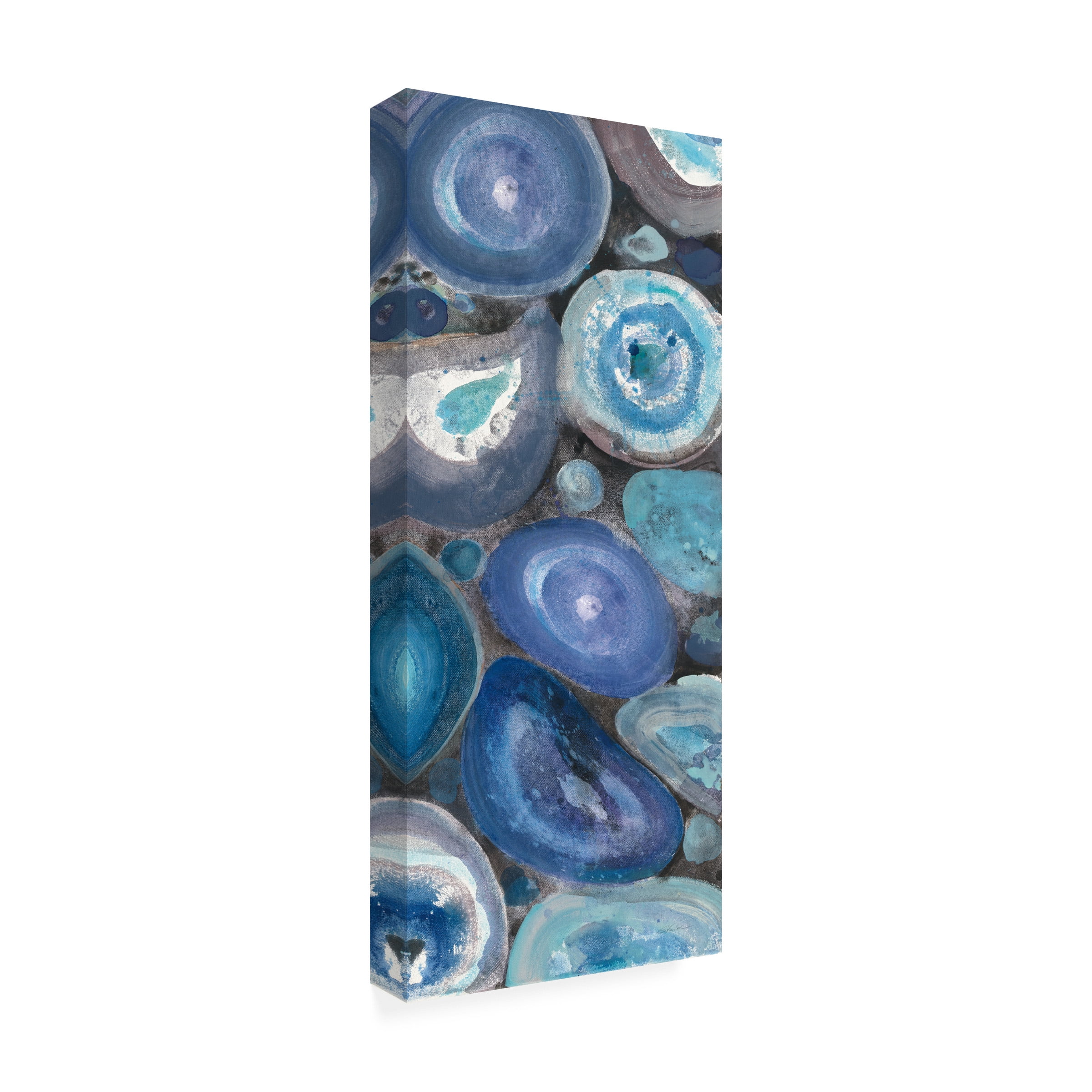 Trademark Fine Art 'Stone Circles Panel I' Canvas Art by Albena Hristova