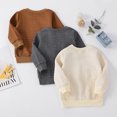 thumbnail image 5 of Sudadera con capucha texturizada con estampado de dinosaurio y letras para niño pequeño de PatPat, 5 of 5