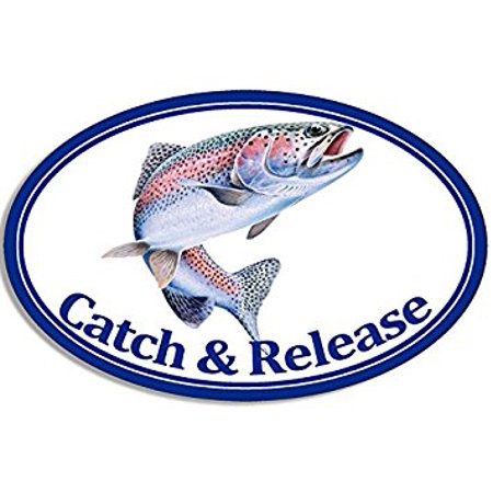 Oval RAINBOW TROUT Catch and Release Sticker Decal (fish fishing) Size: 3 x 5 (Best Lures To Catch Trout)