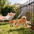 thumbnail image 2 of Short Dog Leash for Small Medium Dogs, Heavy Duty Training Lead with Traffic Handle, Nylon Rope for Close Control Walking, Durable Tangle Free Pet Tether for Safety Obedience 14Inch, 2 of 4