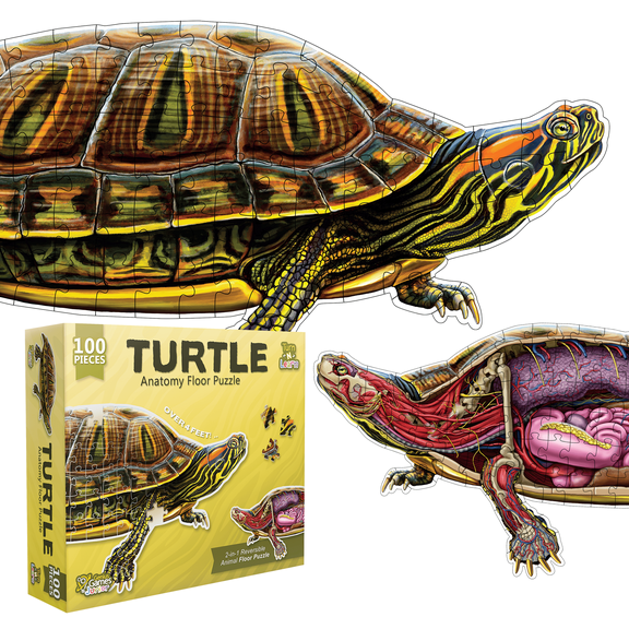 Turn N Learn: Turtle Puzzle