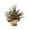 Multicolor-5B-home supplies, variant on LEFTHIGH Home 12-inch Desktop Christmas Tree Small Artificial Christmas Tree Mini Christmas Tree with Red Berry Pines Cones and Burlaps Base Ideal for Home Farmhouses Desk Christmas Decorations