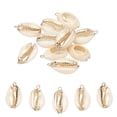 thumbnail image 1 of 10Pcs Encanto de Concha a Granel Pendientes de Concha Natural para Hacer Joyería, Oro, 1 of 6