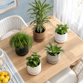 14 Inch Speckled Oat Ceramic Plant Pot with Saucer, Indoor Outdoor ...