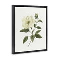 thumbnail image 2 of Stupell Industries Traditional Ivory Rose Bloom With Green Foliage Black Floating Frame Canvas Art, 17 x 21, by Nan, 2 of 8