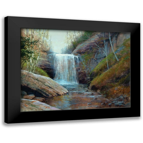 Bansemer, Roger 18x15 Black Modern Framed Museum Art Print Titled - Waterfall