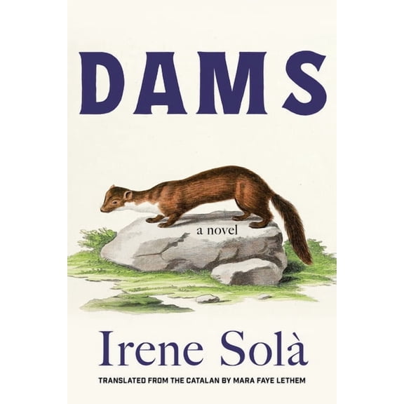 Dams, (Paperback)
