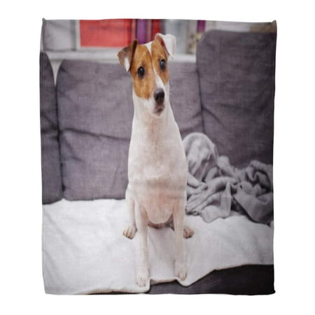 ASHLEIGH Flannel Throw Blanket Brown Canine Jack Russell Terrier Dog Cute Doggy Soft for Bed Sofa and Couch 50x60