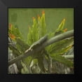 thumbnail image 2 of Lewis, Sheldon 20x20 Black Modern Framed Museum Art Print Titled - Botanical Garden 2, 2 of 5