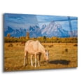thumbnail image 2 of Epic Art 'Breakfast in the Tetons - Grand Teton National Park' by Darren White, Acrylic Glass Wall Art, 36"x24", 2 of 8