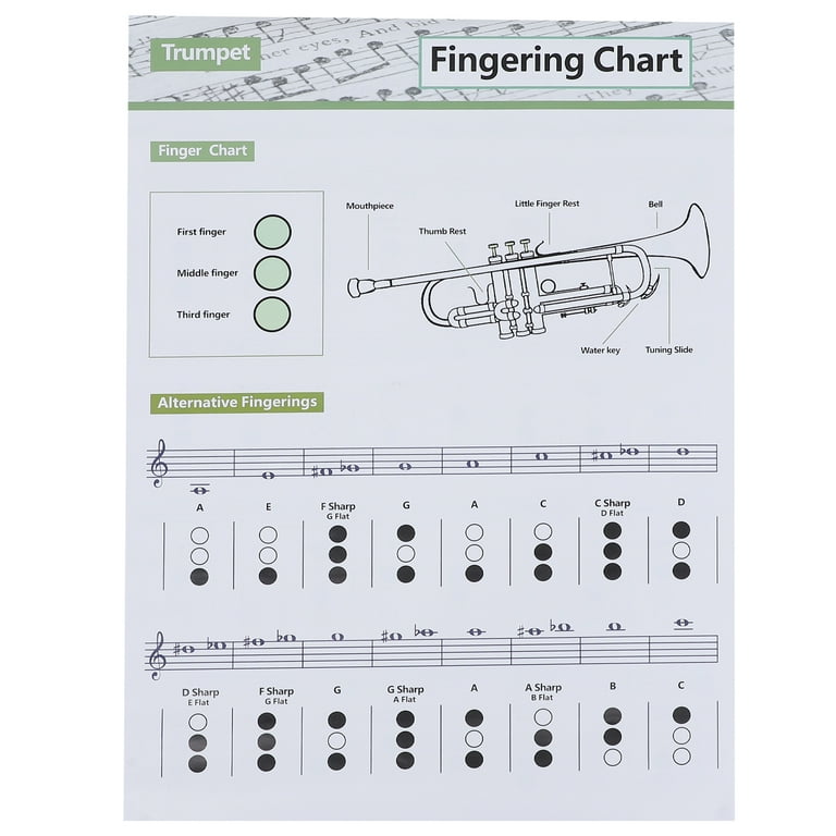 D sale flat trumpet