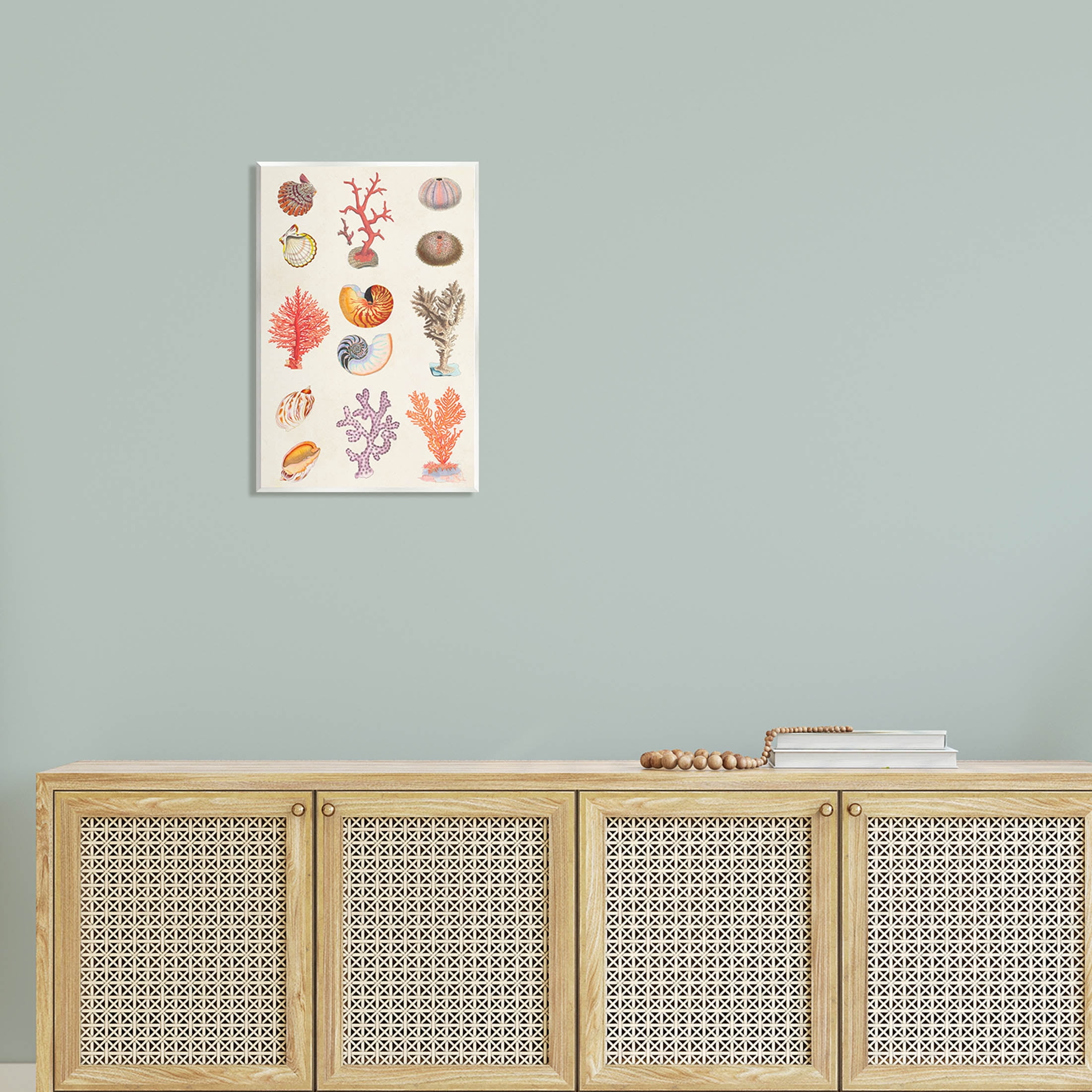 Stupell Industries Various Sea Life Nautical Latin Study Graphic Art Unframed Art Print Wall Art, Design by Vision Studio