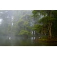 thumbnail image 2 of Morris, Arthur 32x22 White Modern Wood Framed Museum Art Print Titled - Louisiana, Lake Martin Great egret reflection, 2 of 4