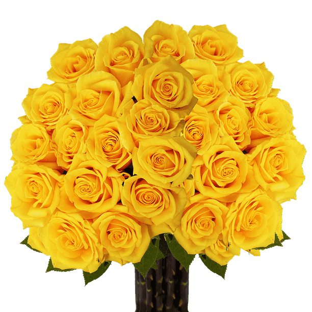 75 X Long Stem Assorted Yellow Roses Beautiful Fresh Cut Flowers Express Delivery Walmart Com Walmart Com